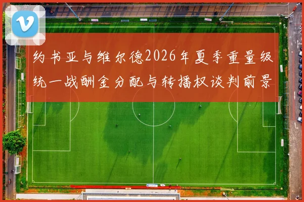 约书亚与维尔德2026年夏季重量级统一战酬金分配与转播权谈判前景深度剖析