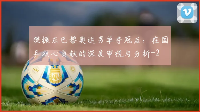 樊振东巴黎奥运男单夺冠后，在国乒核心贡献的深度审视与分析
