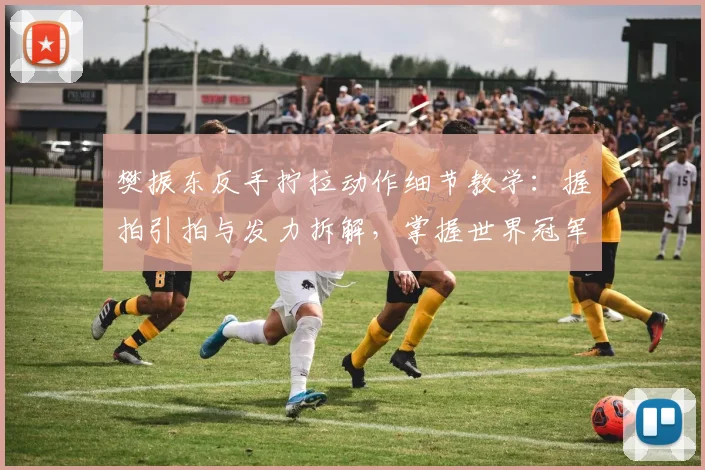 樊振东反手拧拉动作细节教学:握拍引拍与发力拆解,掌握世界冠军台内利器