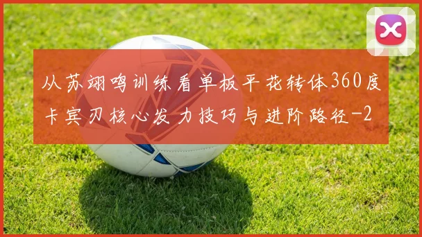 从苏翊鸣训练看单板平花转体360度卡宾刃核心发力技巧与进阶路径