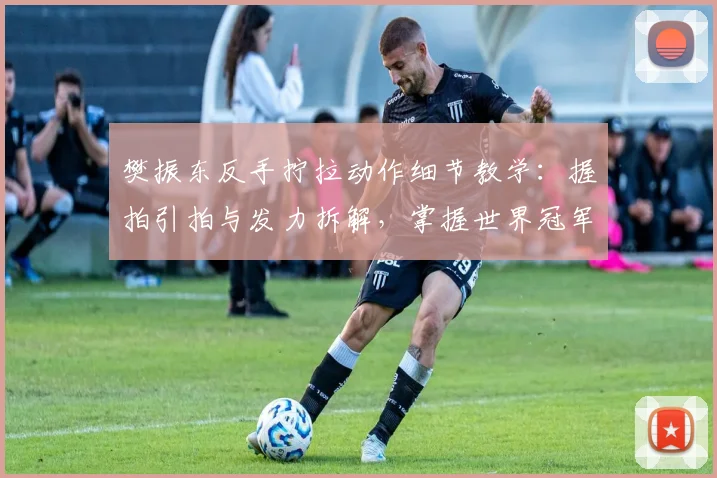 樊振东反手拧拉动作细节教学：握拍引拍与发力拆解，掌握世界冠军台内利器